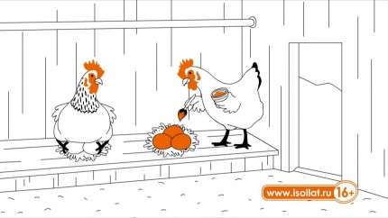 Isollat Tavuk Yumurtası Isı Yalıtım Videosu